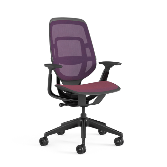 Steelcase Karman Ergonomic Office Chair