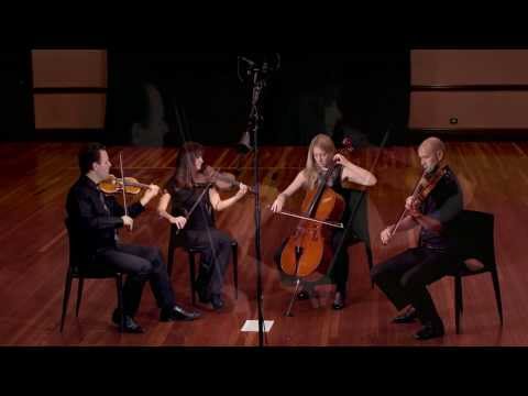 Rode M5 MP Condenser Microphone