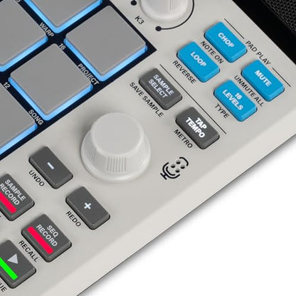 Akai Professional MPC Sample