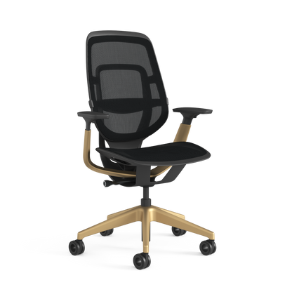 Steelcase Karman Ergonomic Office Chair