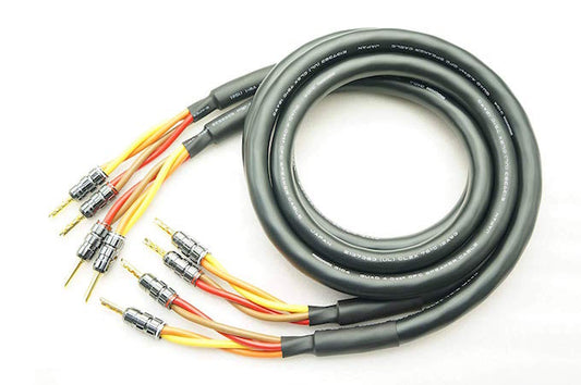 MOGAMI 3104 鈹銅揚聲器電纜，附香蕉插頭